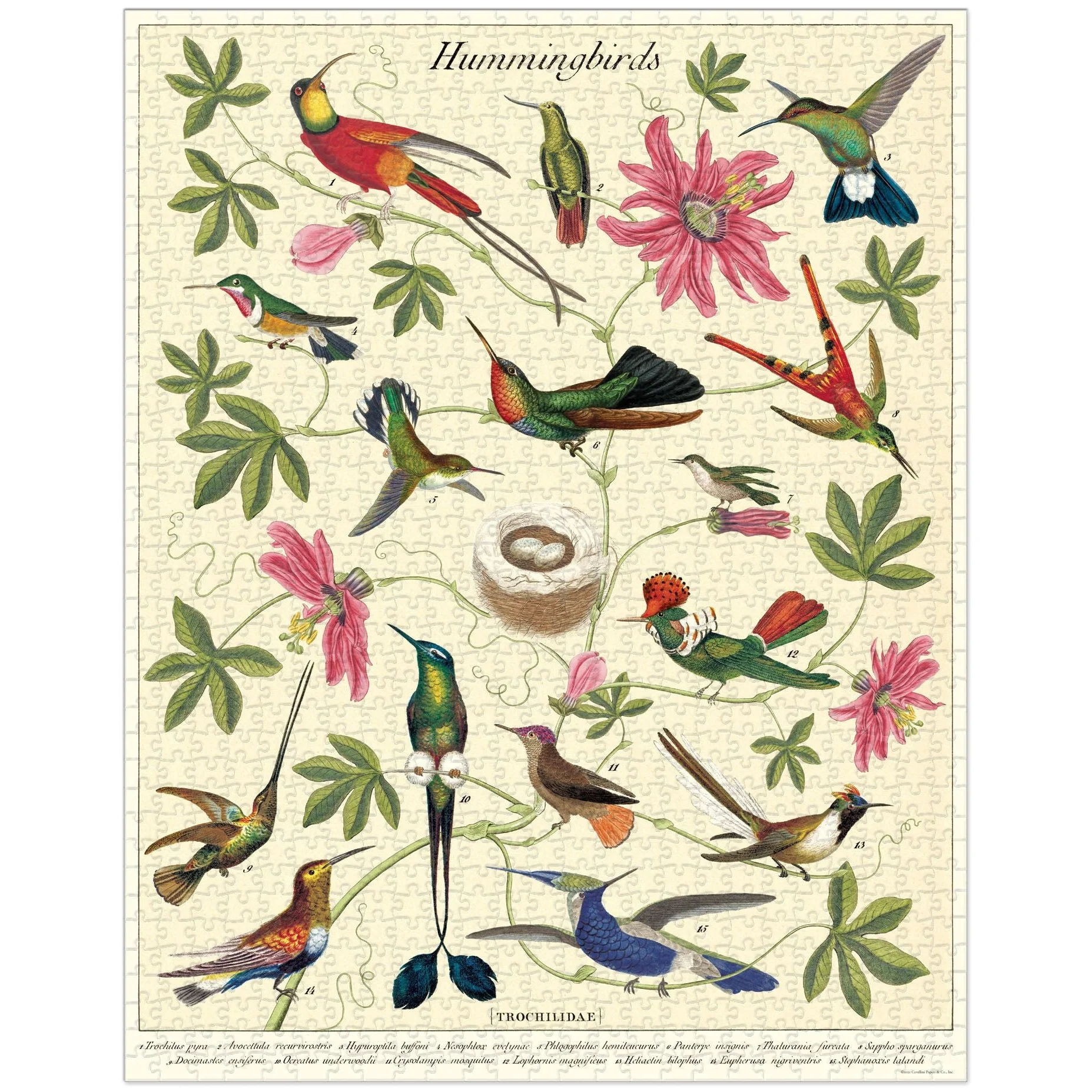 Cavallini & Co. 1000 Piece Puzzle - Hummingbird - Image 3