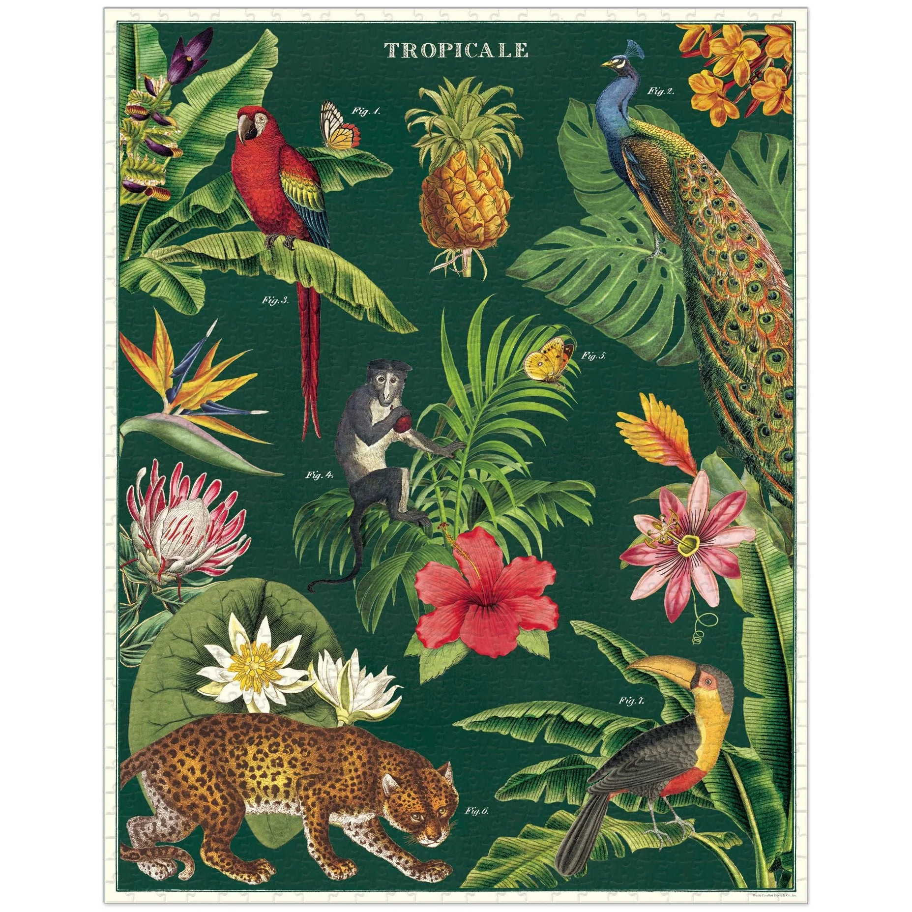 Cavallini & Co. 1000 Piece Puzzle - Tropicale - Image 3