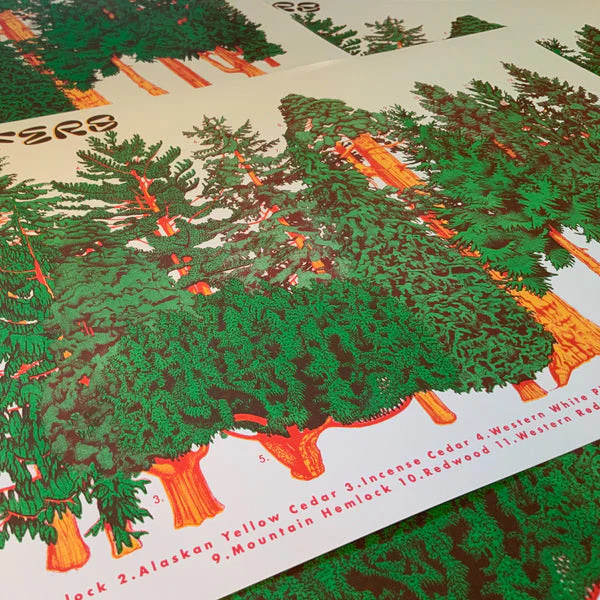 Conifer Riso Print - Image 3