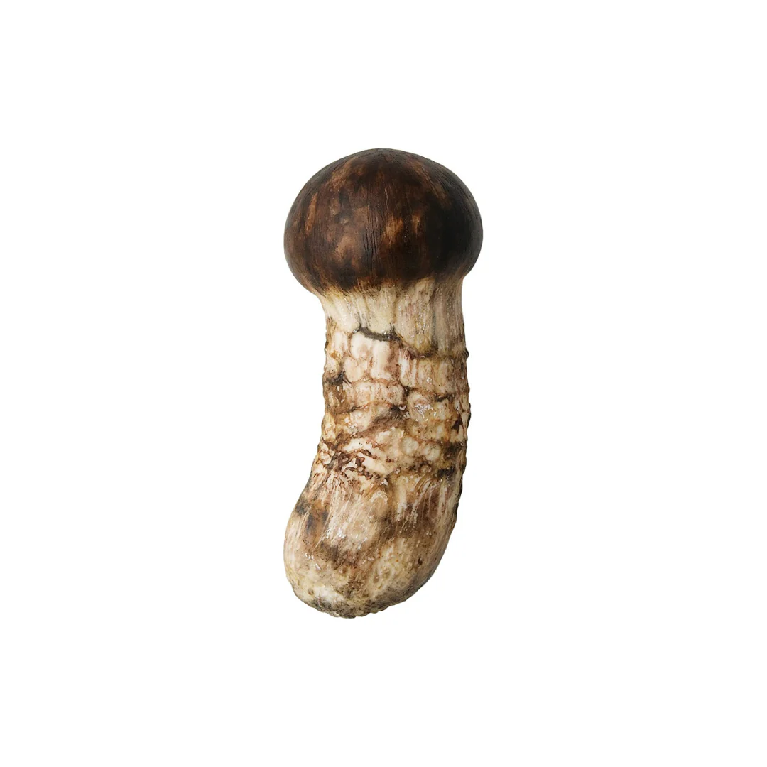 Blind Box Mushroom Soft - Image 3