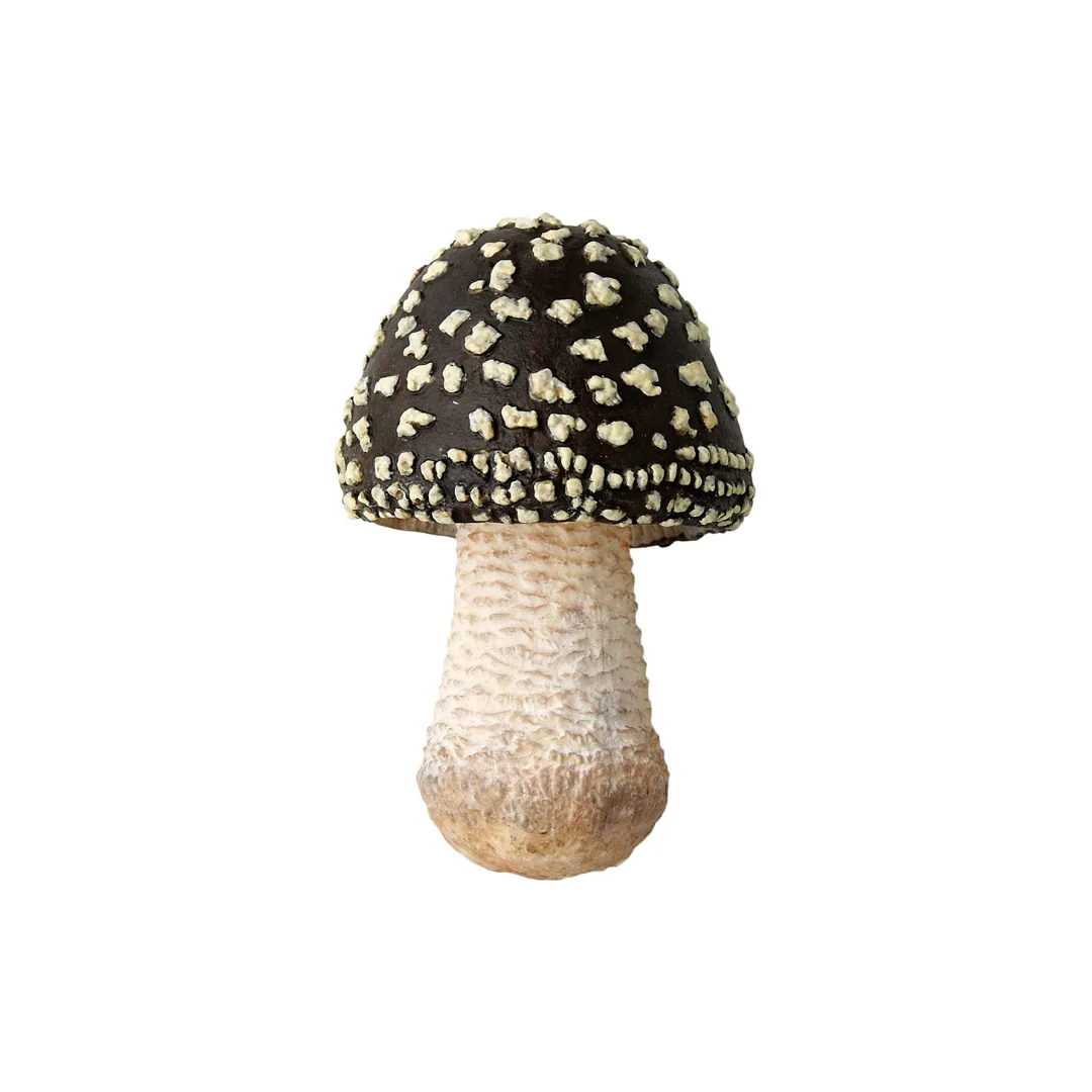 Blind Box Mushroom Soft - Image 4