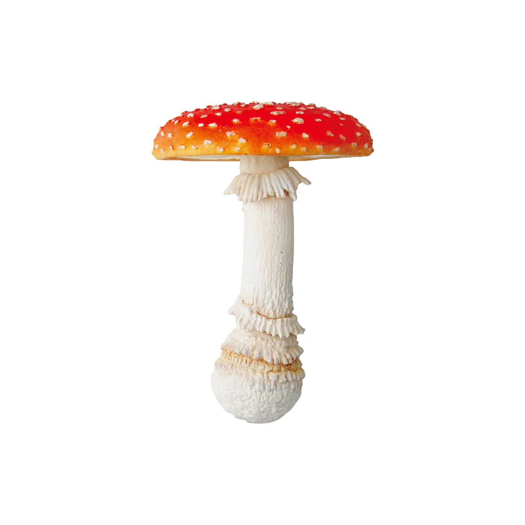 Blind Box Mushroom Soft - Image 6