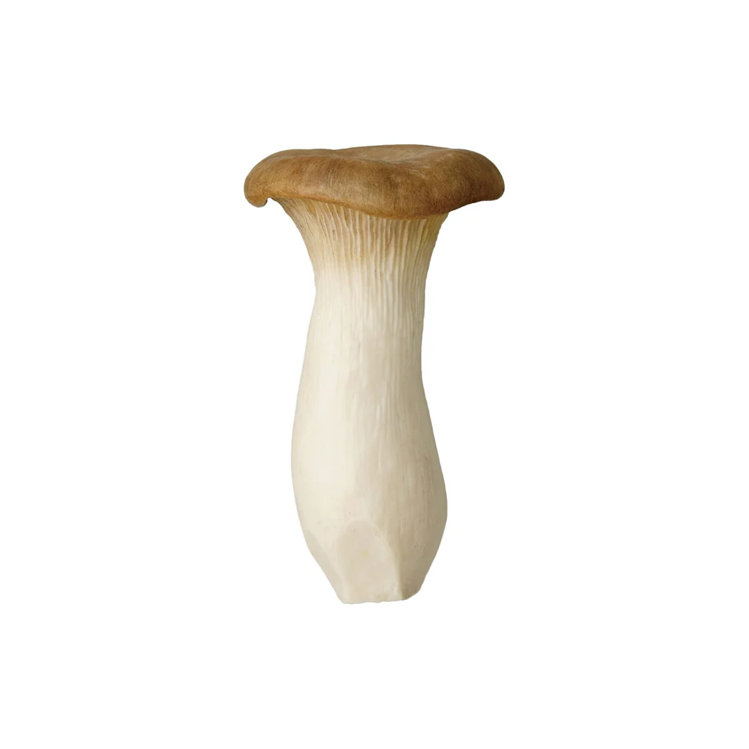 Blind Box Mushroom Soft - Image 7