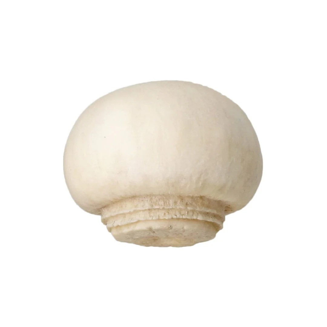 Blind Box Mushroom Soft - Image 8