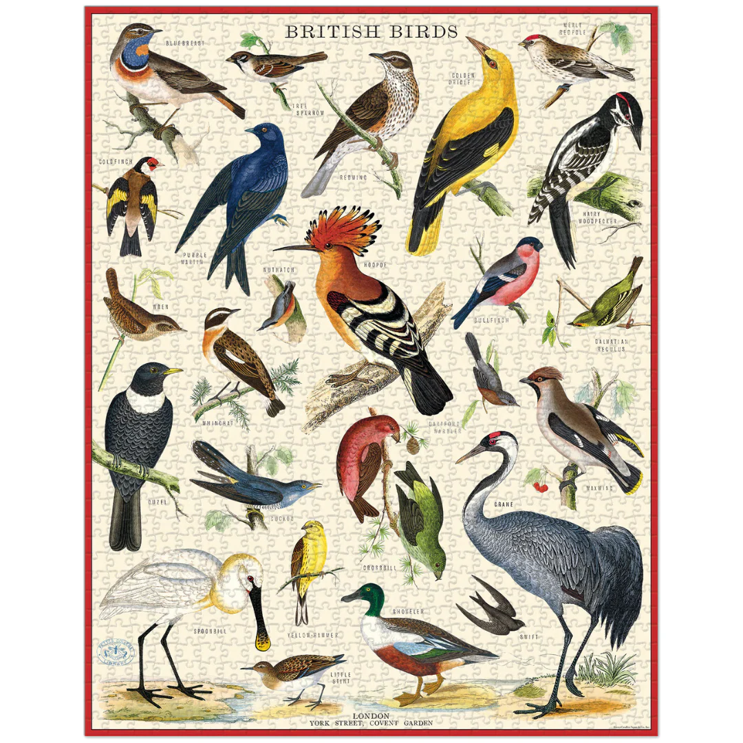 Cavallini & Co. 1000 Piece Puzzle - British Birds - Image 3